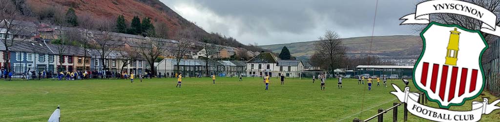 Ynyscynon Park